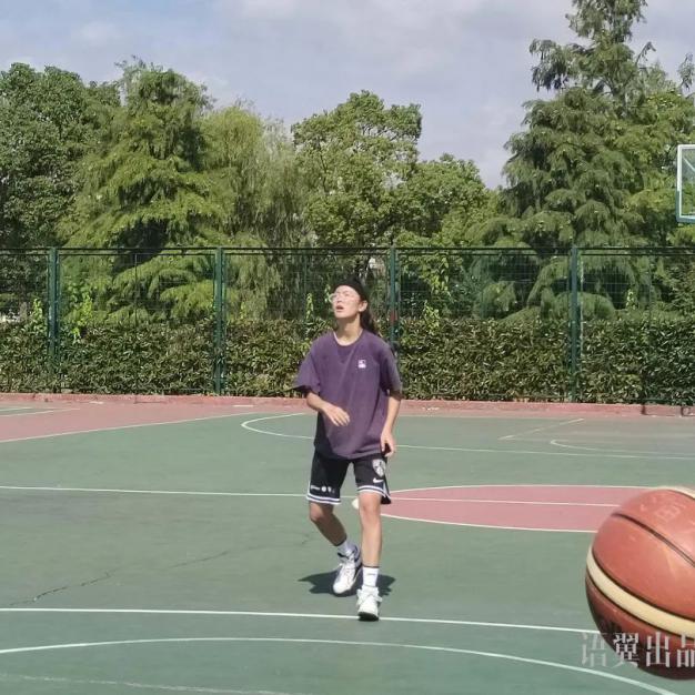 xc体育指定通道