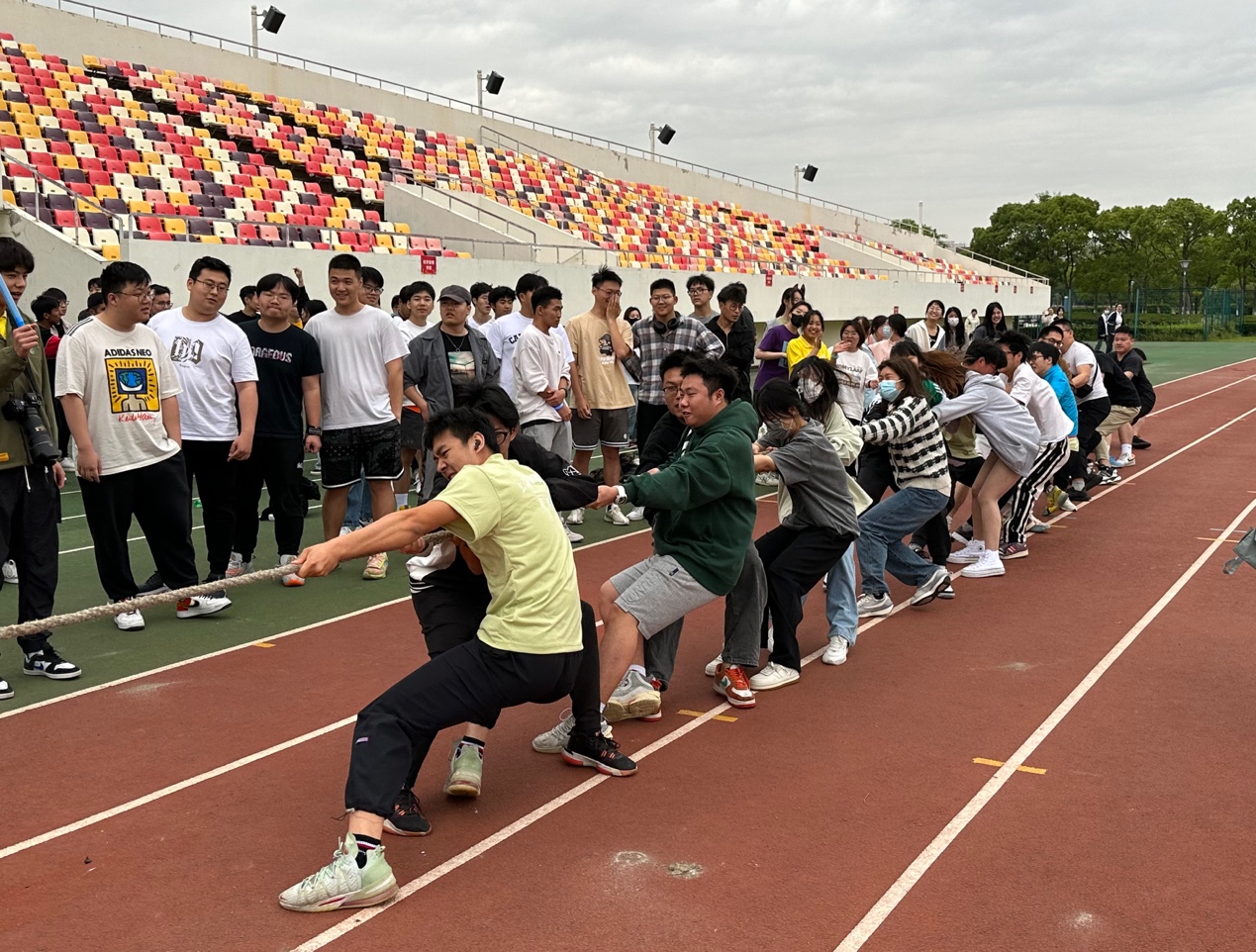 xc体育备用网址